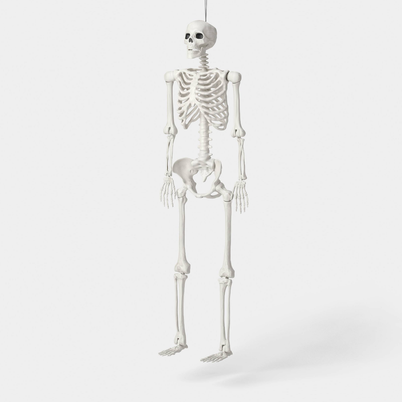 60 in Multi Pose-N-Stay Poseable Lifesize Skeleton