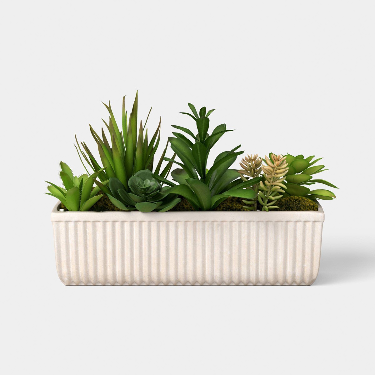8" Succulent Capsule — Threshold